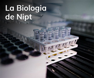 LA BIOLOGIA DEI NIPT | 17 DICEMBRE 2020